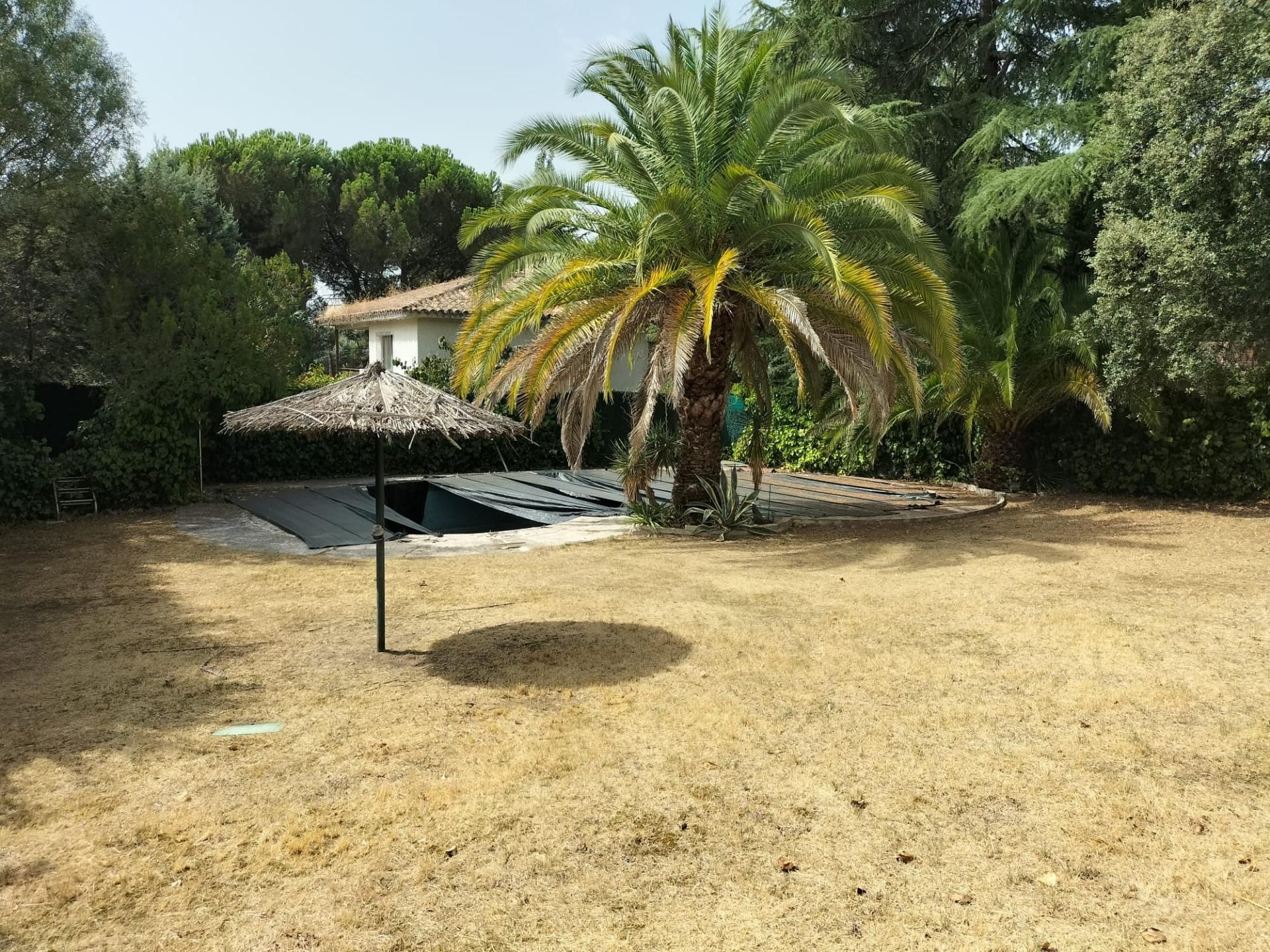 Garden of House or chalet for sale in Galapagar  with Private garden, Terrace and Storage room