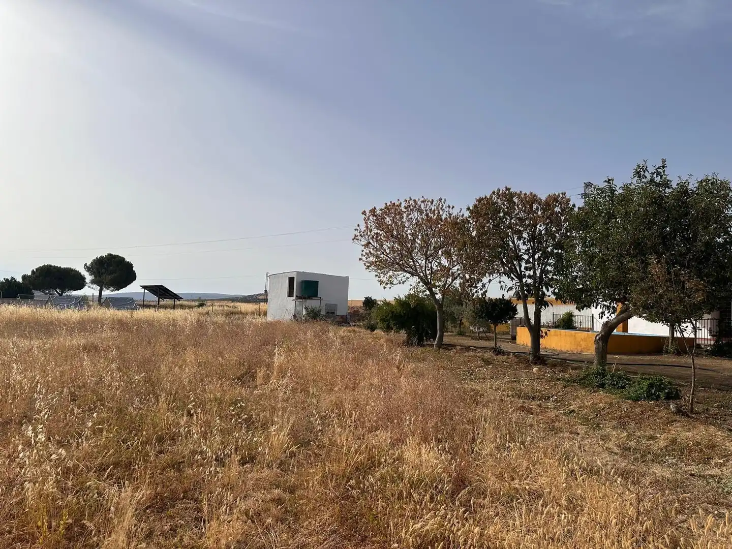 Rural land for sale in Fuente Obejuna, imagen 15
