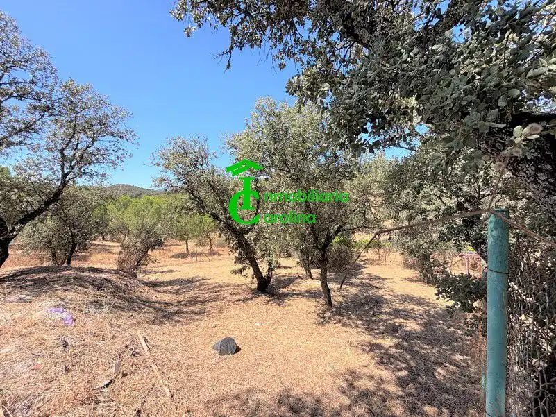 Finca rústica en venda en Santa Elena amb Terrassa