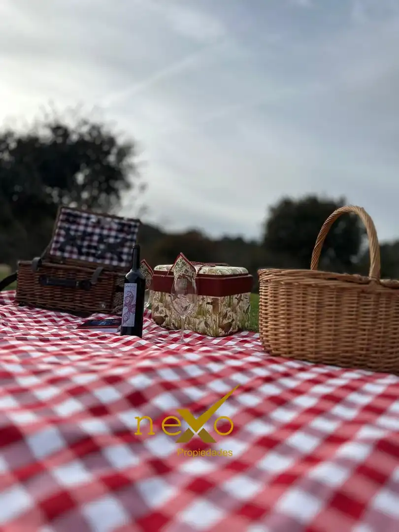 Vista exterior de Finca rústica en venda en Las Navas de la Concepción amb Jardí privat, Piscina i Moblat