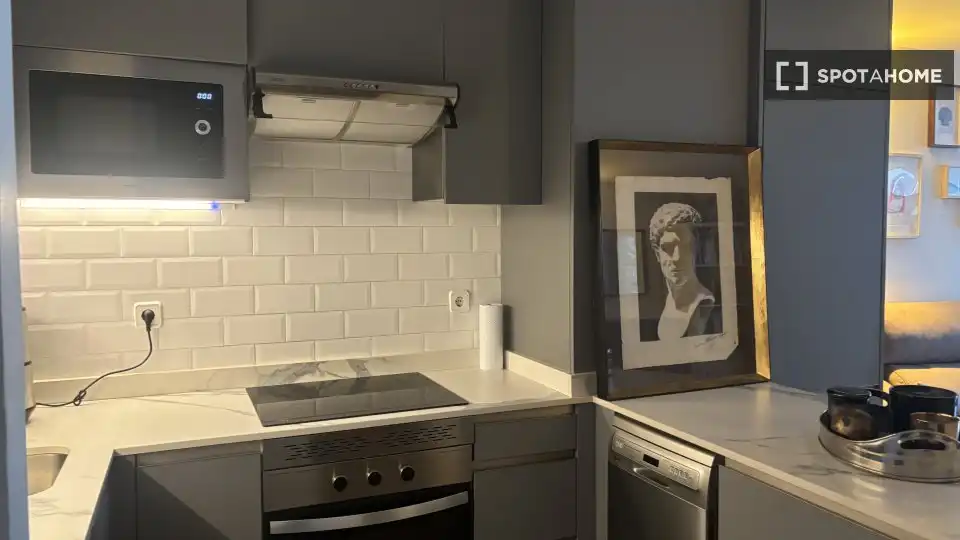 Kitchen of Flat for rent in Madrid  with Air Conditioner, Heating and Furnished