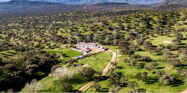 Terreno en Venta en Mestanza