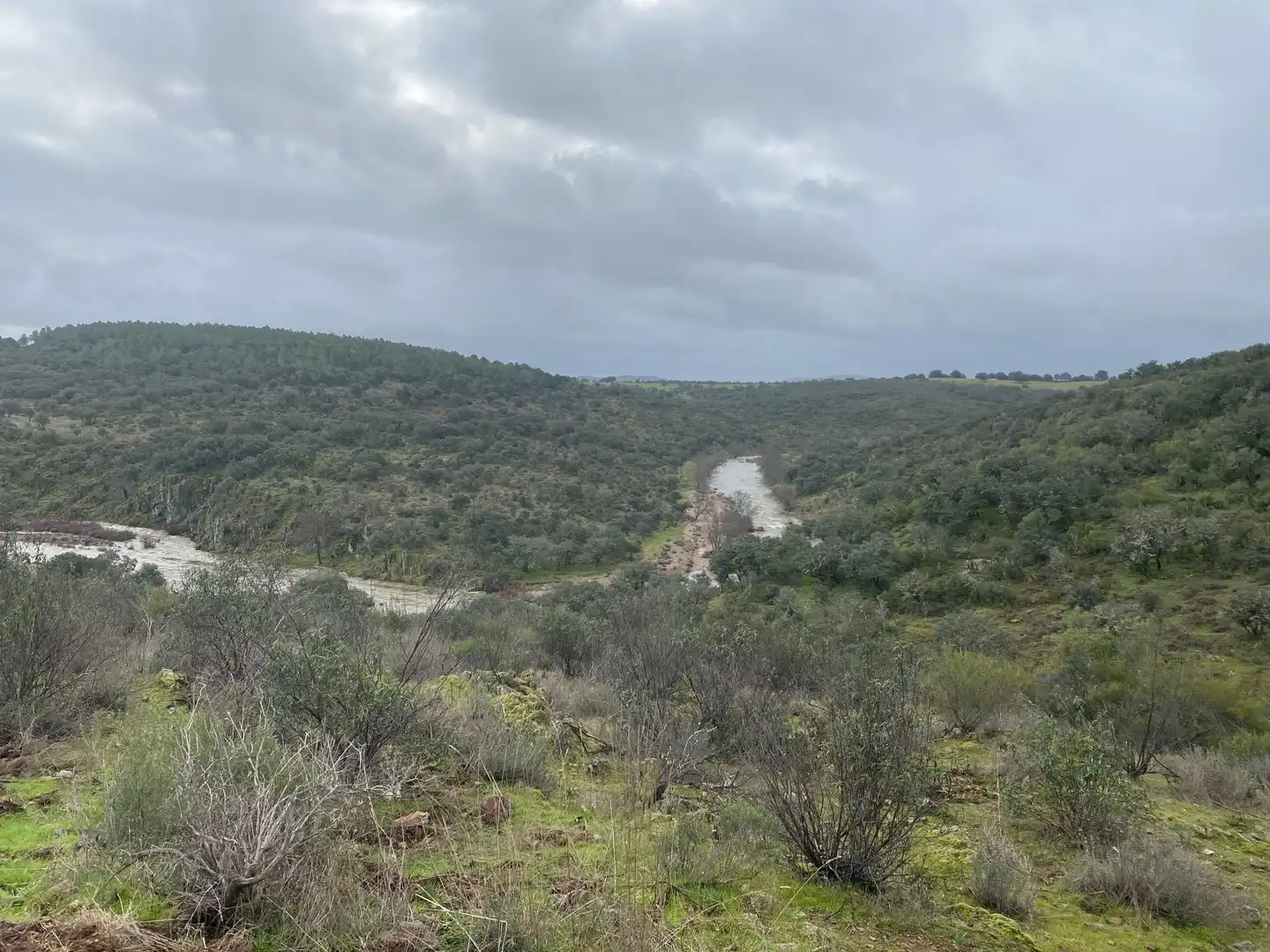 Terreno en venta en Anchuras