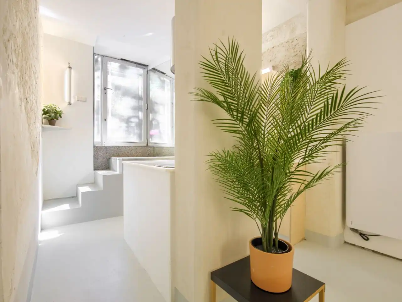 Loft with garden for sale in Altamirano 20, imagen 3
