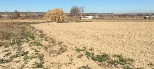 Land for sale in Chinchón