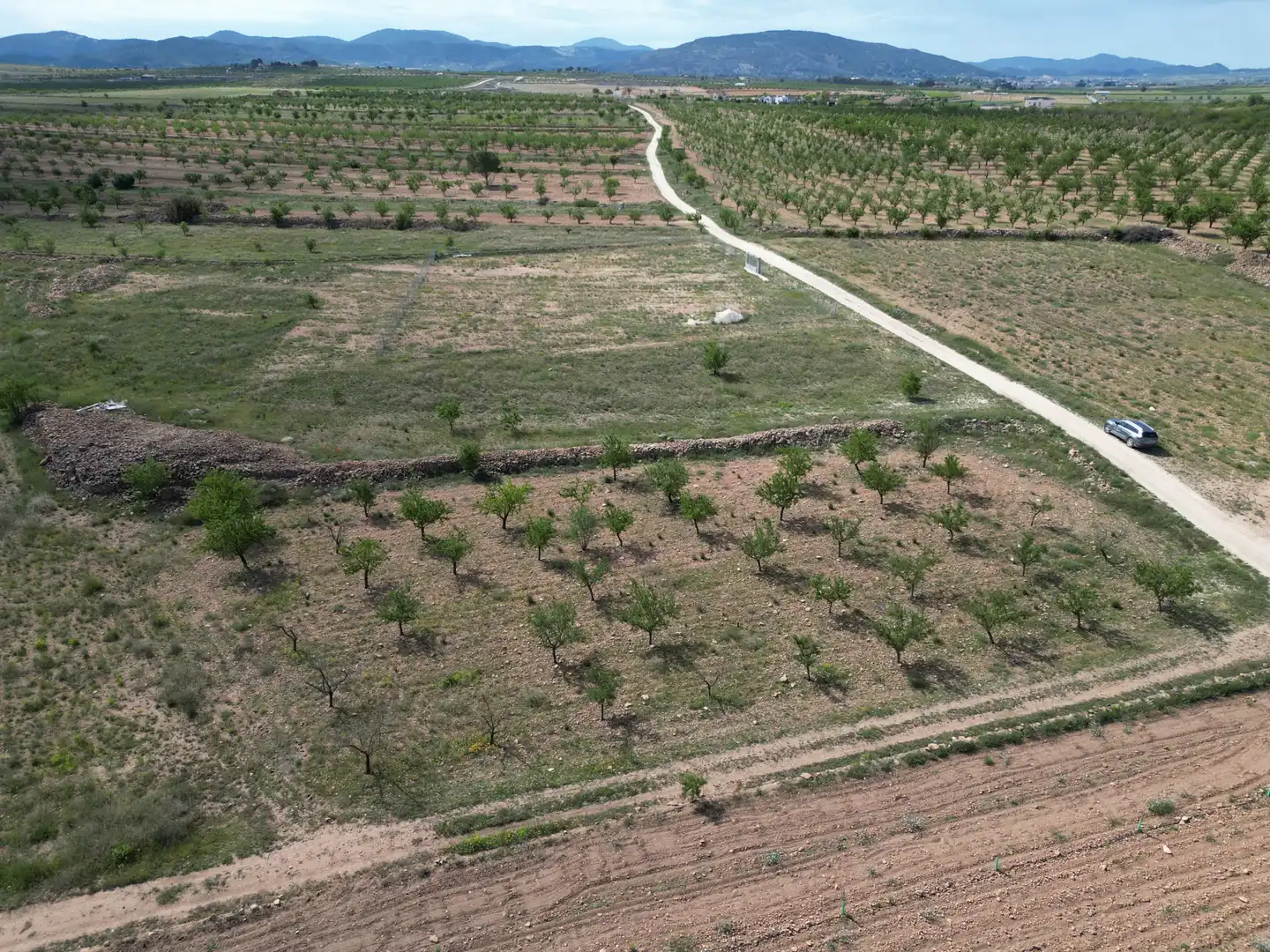 Wohnbaugrundstück zum Verkauf in El Pinós / Pinoso