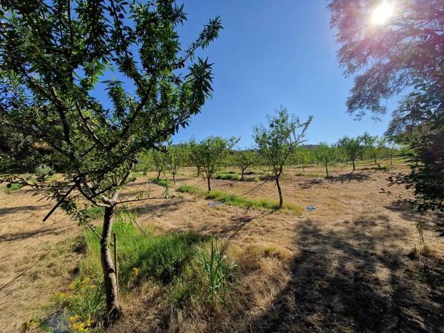 Terreno en Venta en Binaced