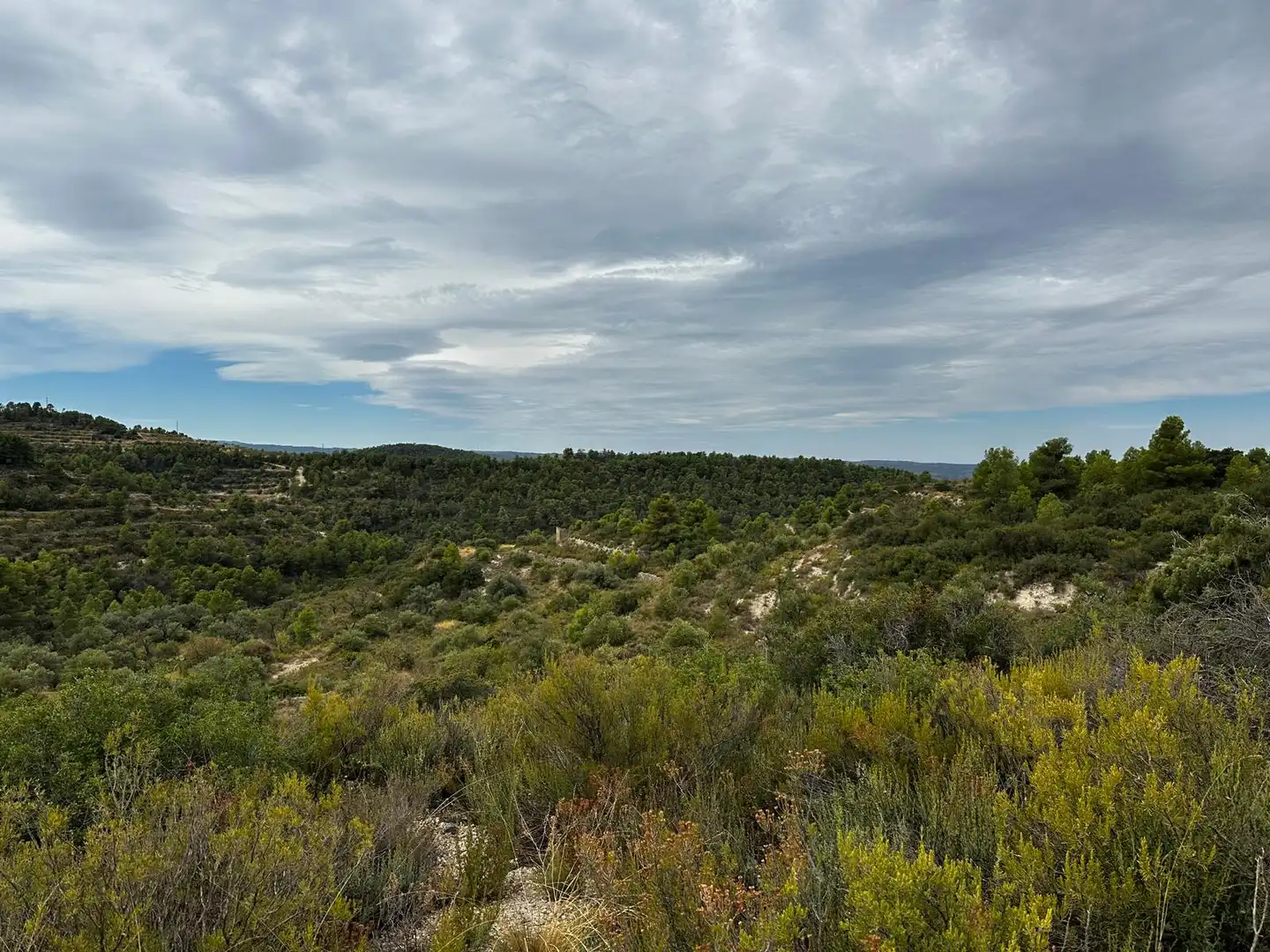 Terreny rústic en venda a Cervià de Les Garrigues, imagen 6