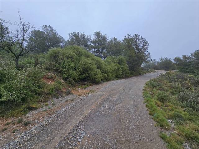 Terreno residencial en Venta en Proc. Simplificado en Altura