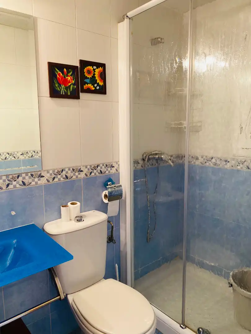 Detached homes for sale in Calle Secundino Zuazo, La Garena