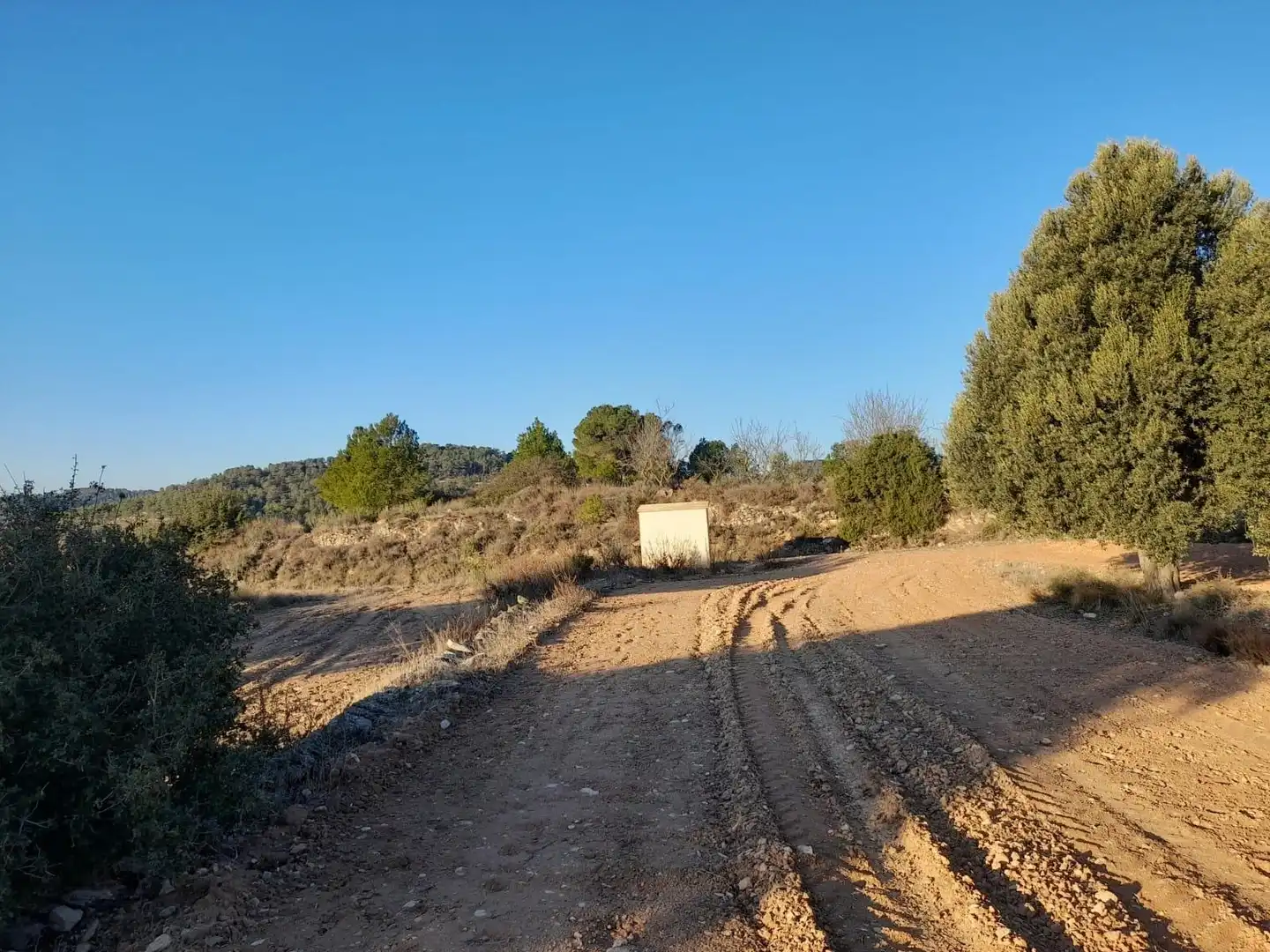 Terreno rústico en venta en Corbera d'Ebre, imagen 15