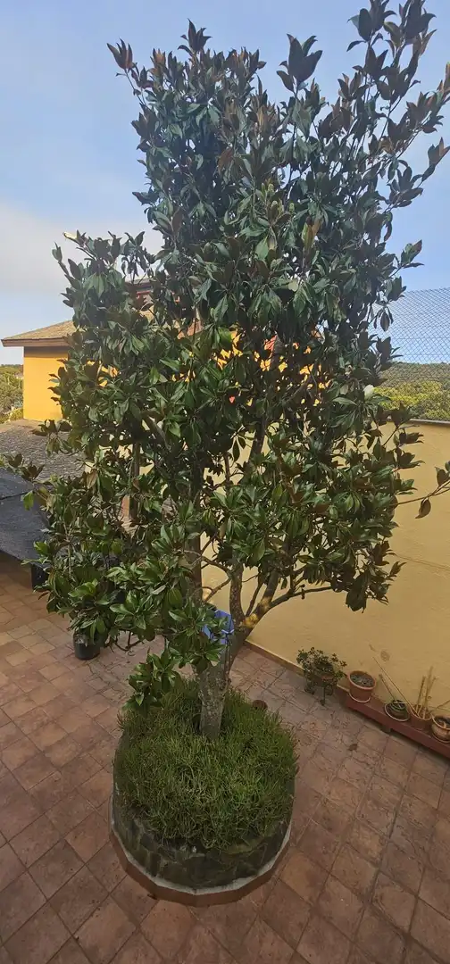 Casa en venda a Calle Moixerno, imagen 4