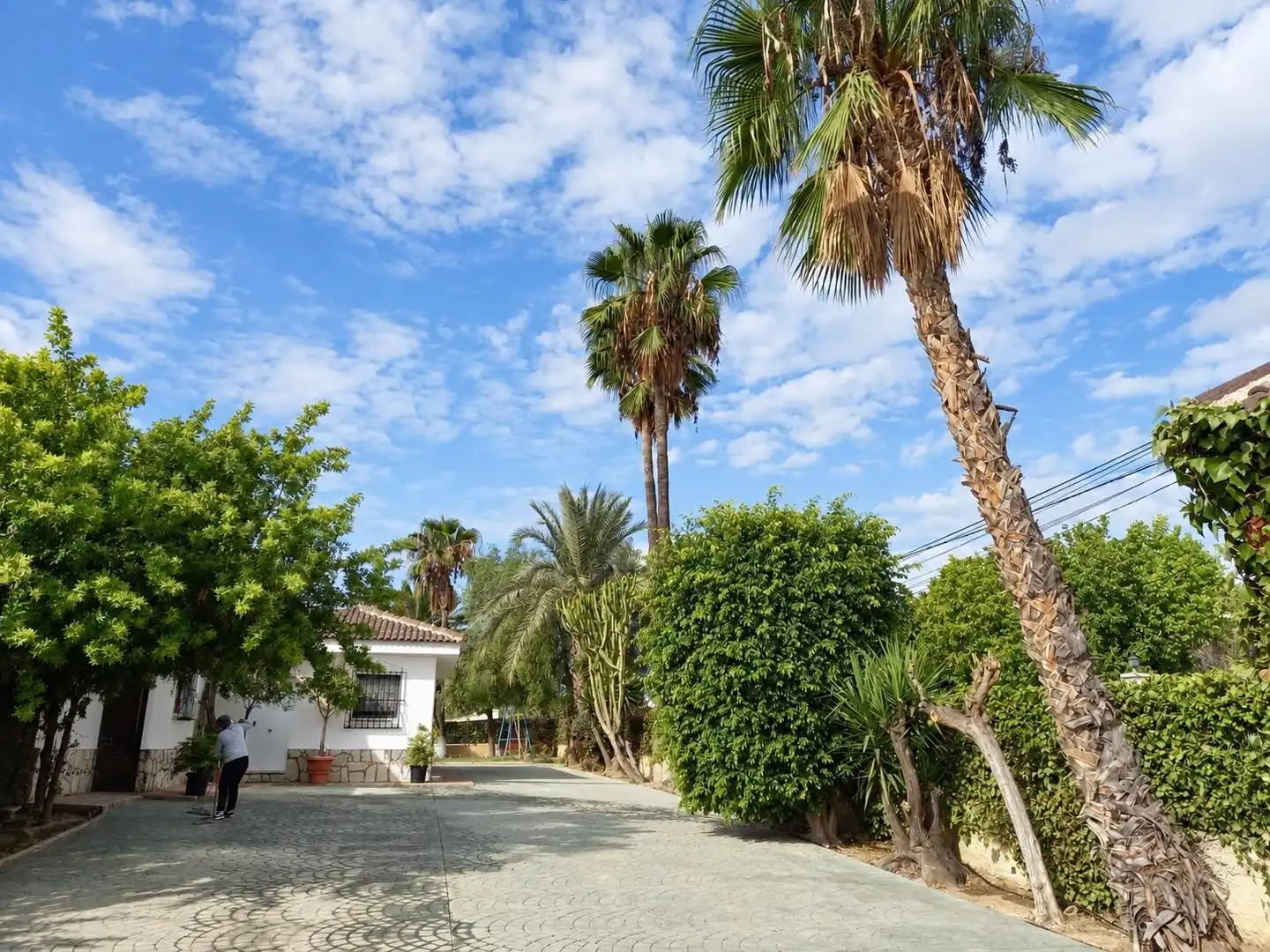 Detached house with pool for sale in La Algoda - Matola - Llano de San José, imagen 2