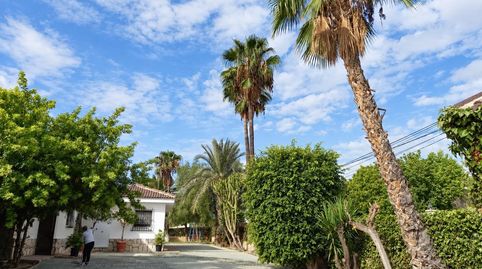 Photo 2 of Houses for sale in La Algoda - Matola - Llano de San José, Elche / Elx