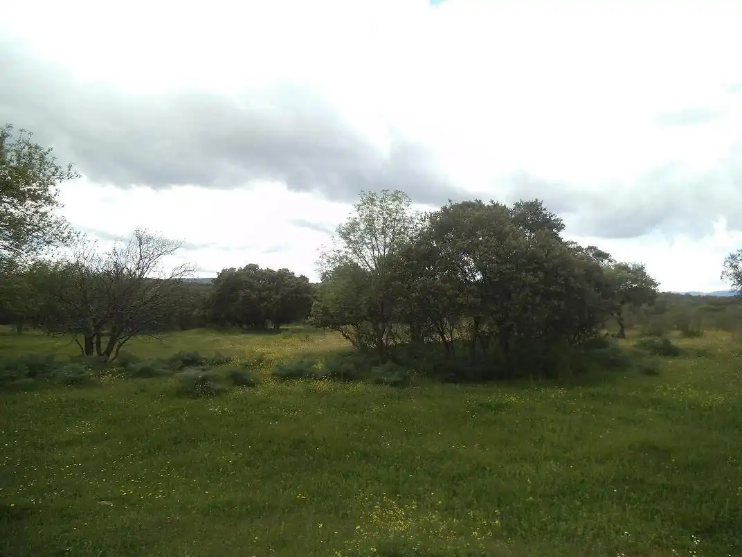 Residencial en venda en Valdemorillo