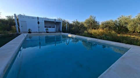 Foto 5 de Casa o chalet de alquiler en N/a, -1, Umbrete, Sevilla