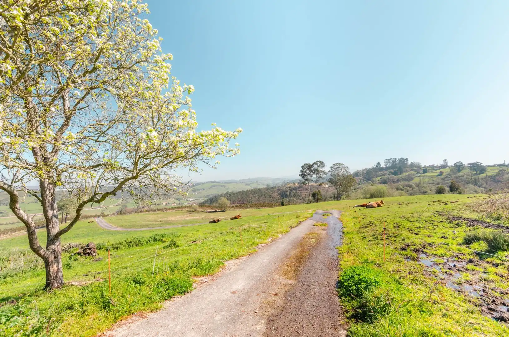 Exterior view of Houses for sale in Llanera  with Alarm