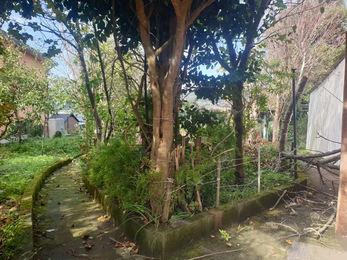 Casa en venta en Canido, imagen 8