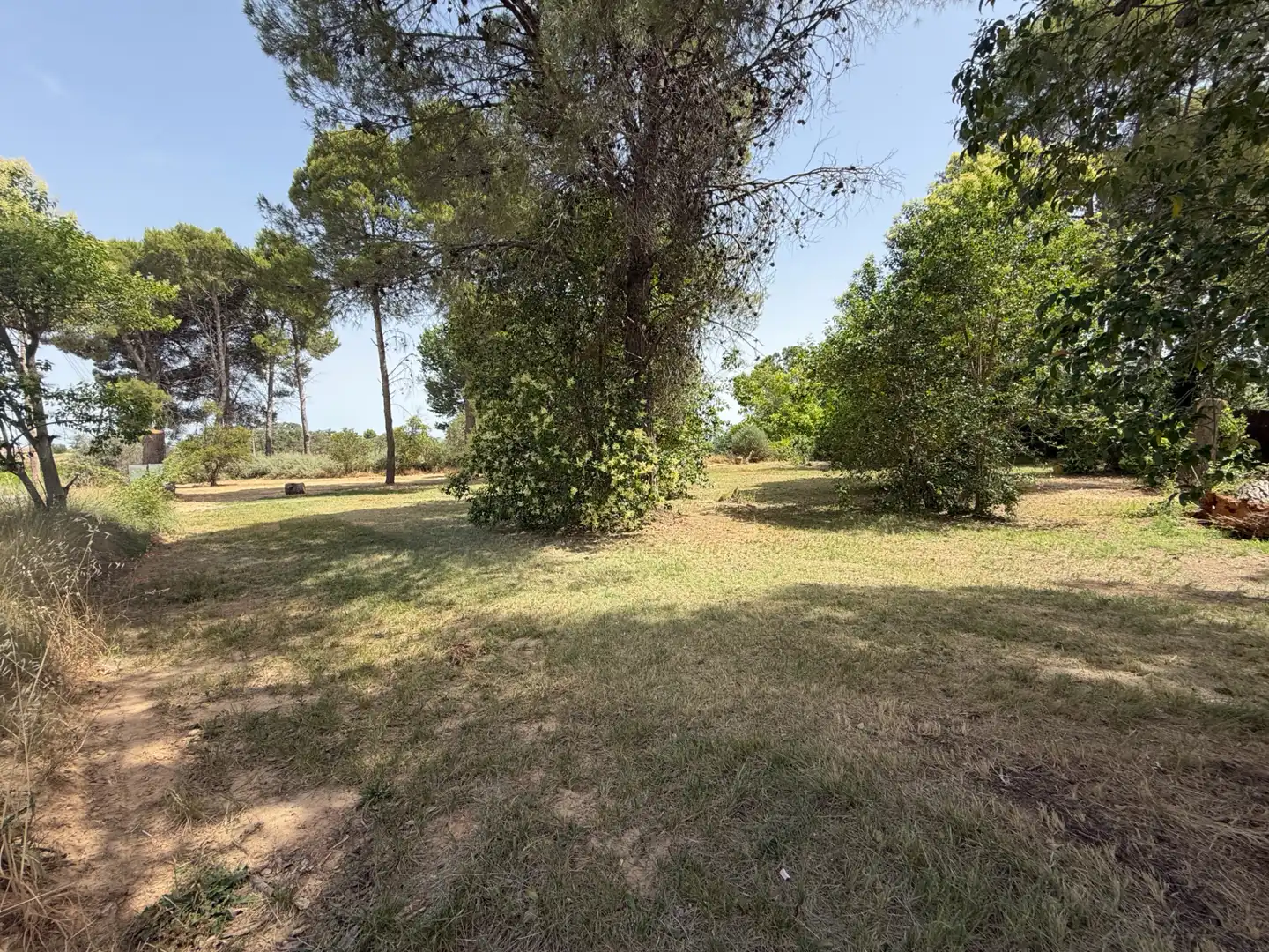 Residencial en venda a Camí de Lleida, 14, Els Alamús
