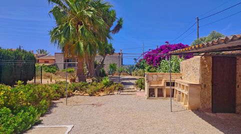Foto 5 de Casa o xalet de lloguer a Ses Salines Poble, Ses Salines