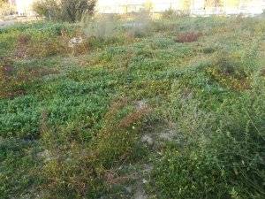 Terreno industrial en Venta en PAU de Carabanchel