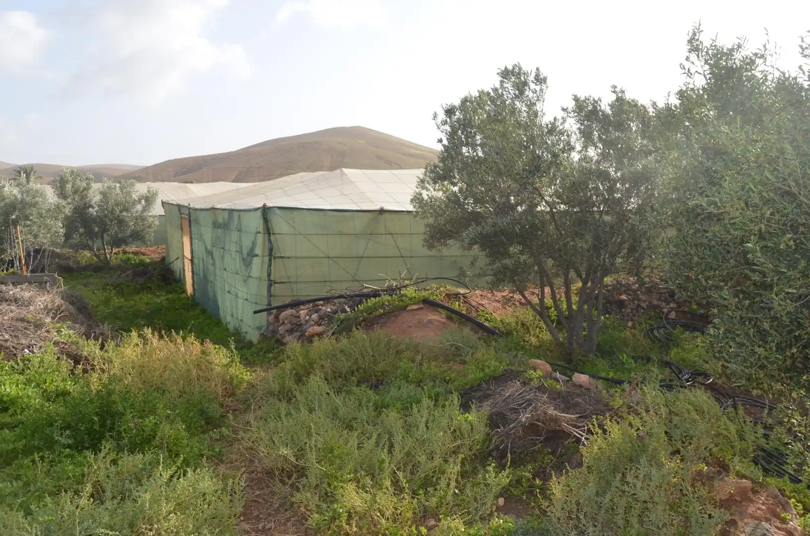 Finca rústica en venda en Pájara amb Jardí privat, Terrassa i Traster