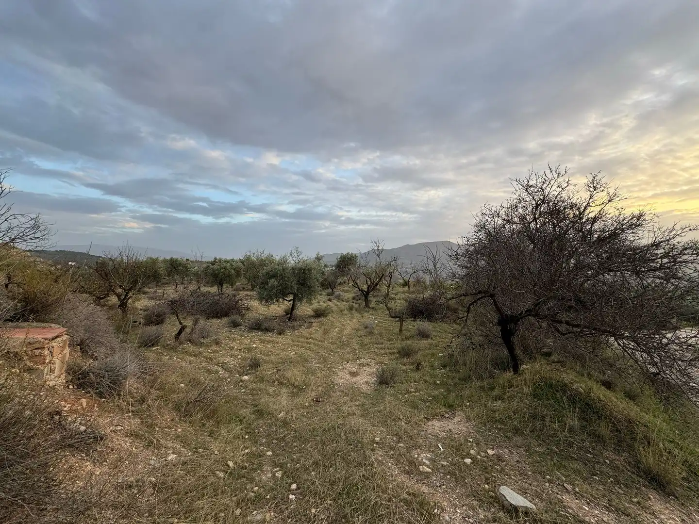Terreno rustico in vendita a Lecrín, imagen 18