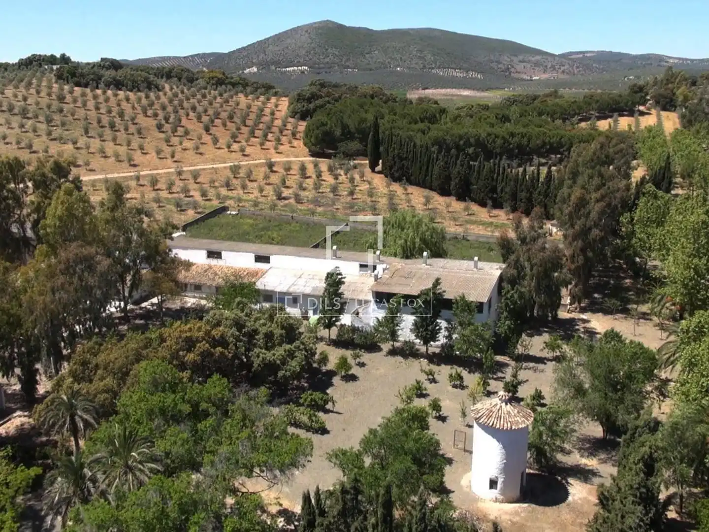 Vista exterior de Finca rústica en venda en Archidona amb Aire condicionat, Calefacció i Jardí privat