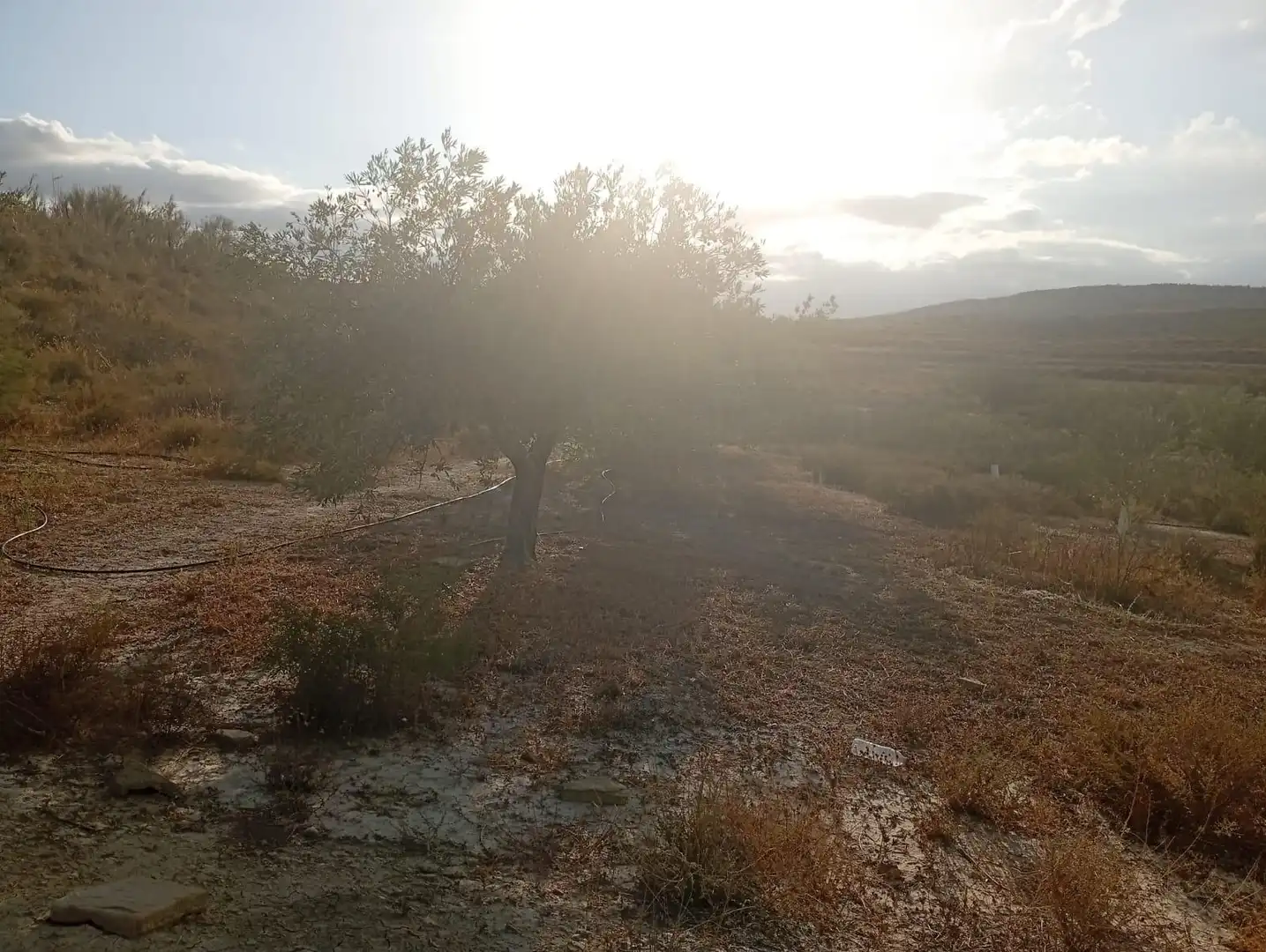 Terrenys i solars en venda a Los Gallardos, imagen 21