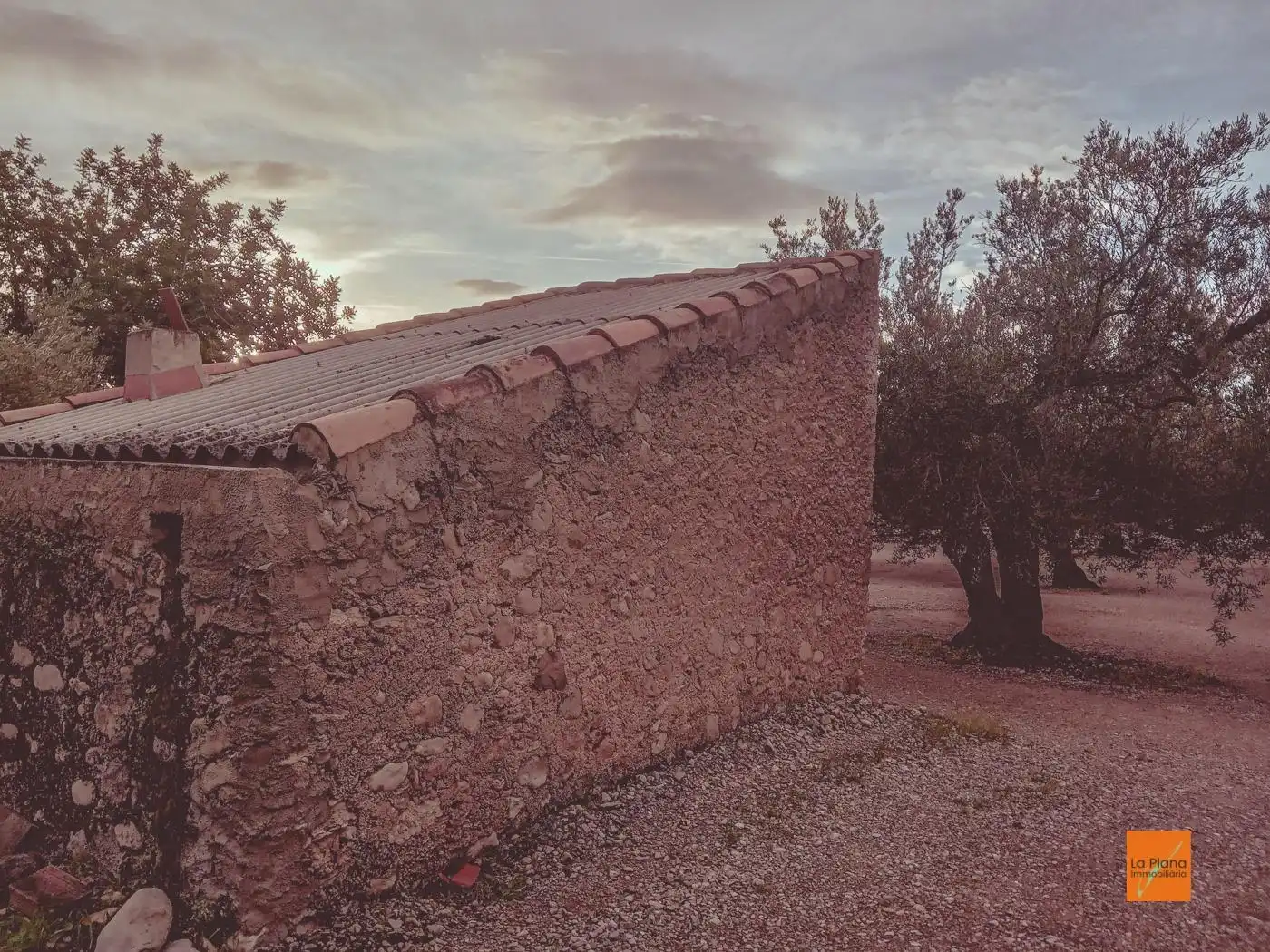 Vista exterior de Finca rústica en venta en Santa Bàrbara