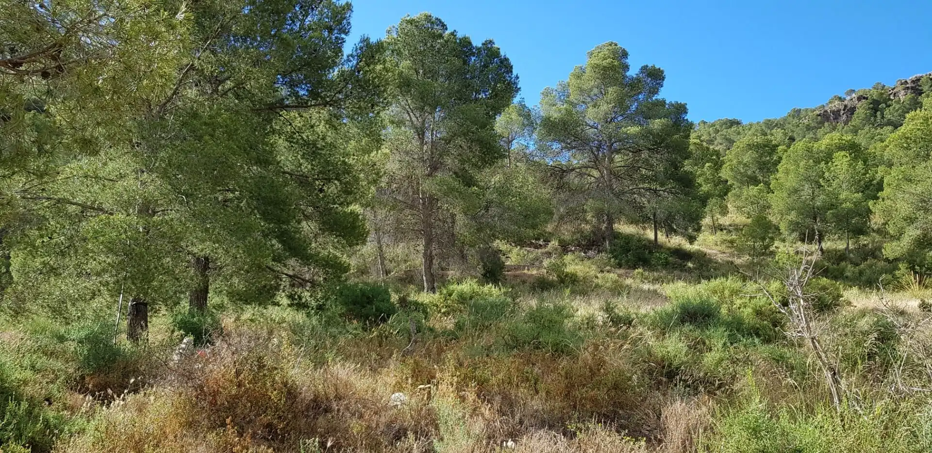 Casa o chalet en venta en Aledo con Terraza y Trastero