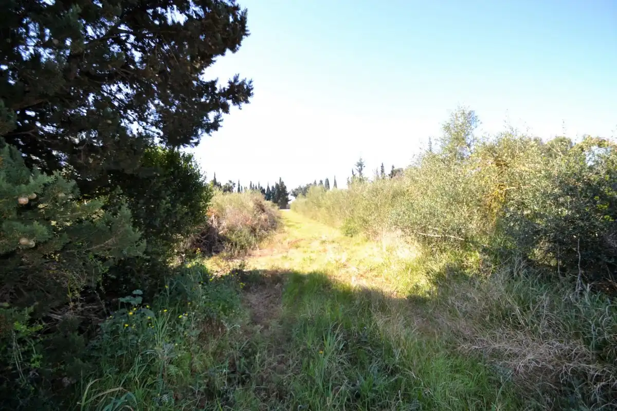 Rural land for sale in Muro, imagen 4