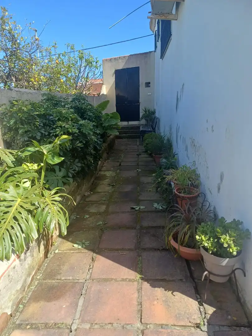 Garden of Houses for sale in Algeciras  with Community pool