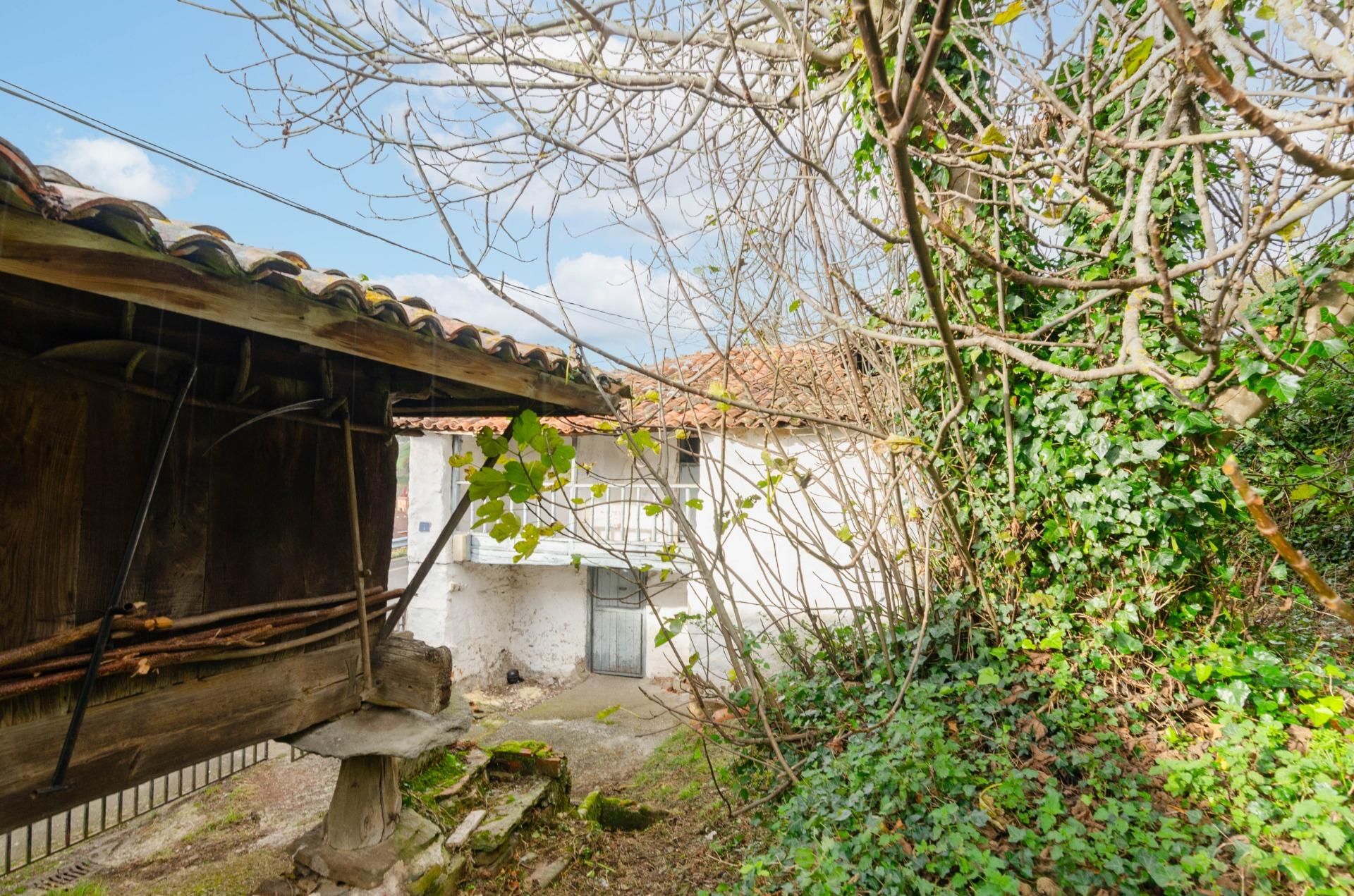 Vista exterior de Casa o chalet en venta en Tineo con Jardín privado, Terraza y Trastero