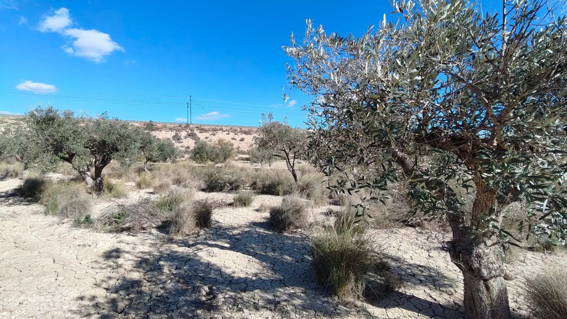 Terreno rustico in vendita a Campo Alto - Club de Campo, imagen 8
