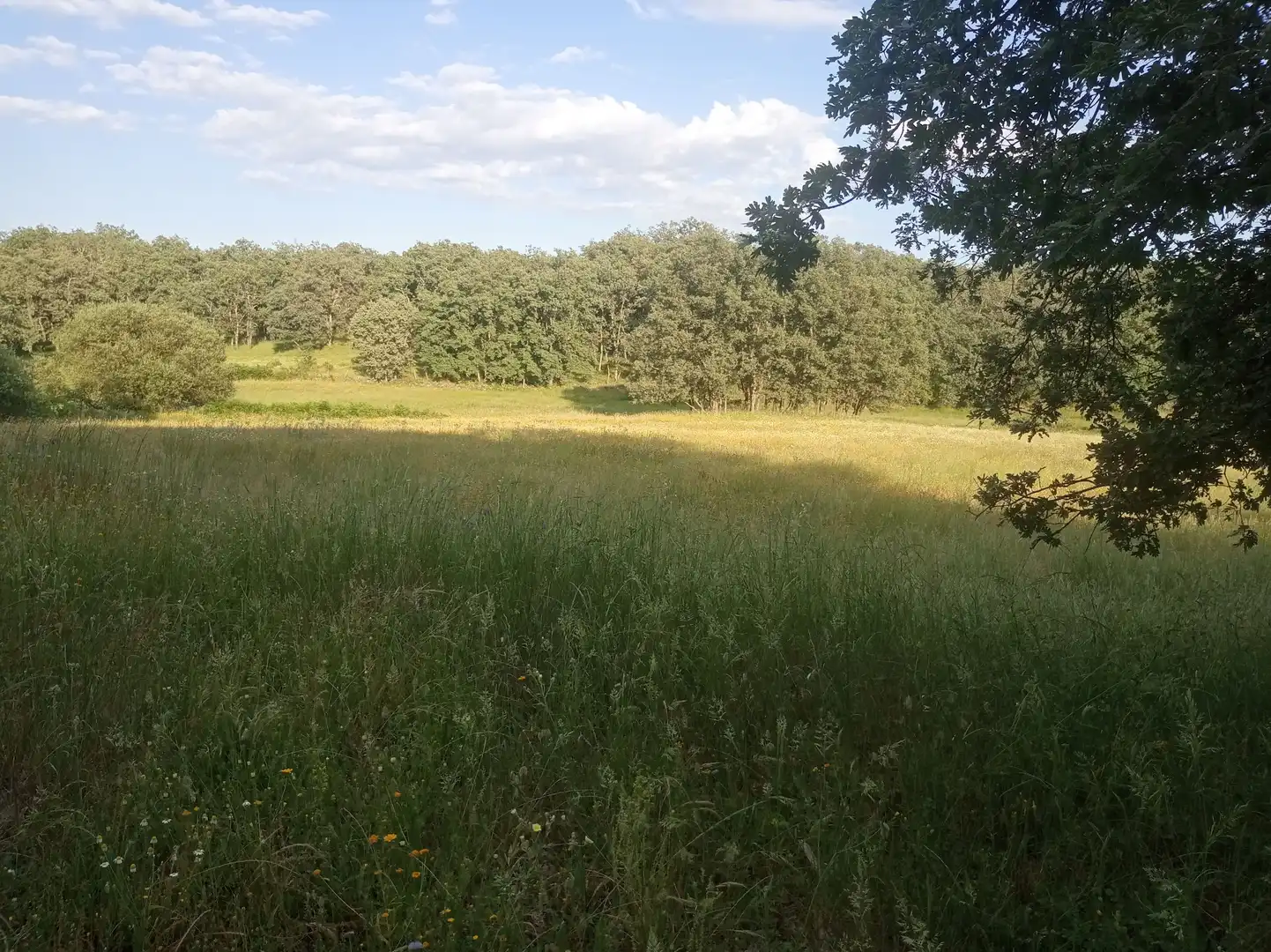 Terreni e lotti in vendita a Jarandilla de la Vera, imagen 17