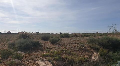 Photo 5 of Land for sale in Lo Meseguer. Los Montesinos, Pol 1, -1, Los Montesinos, Alicante