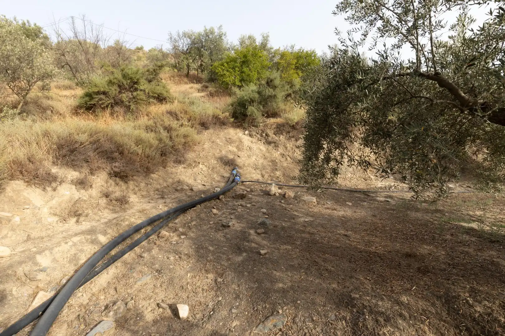 Land for sale in Lecrín