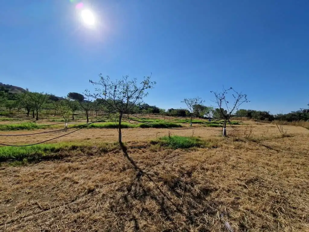 Terreno en venta en Binaced