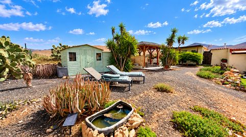 Foto 5 de Finca rústica en venta en Päjara pueblo, Pájara