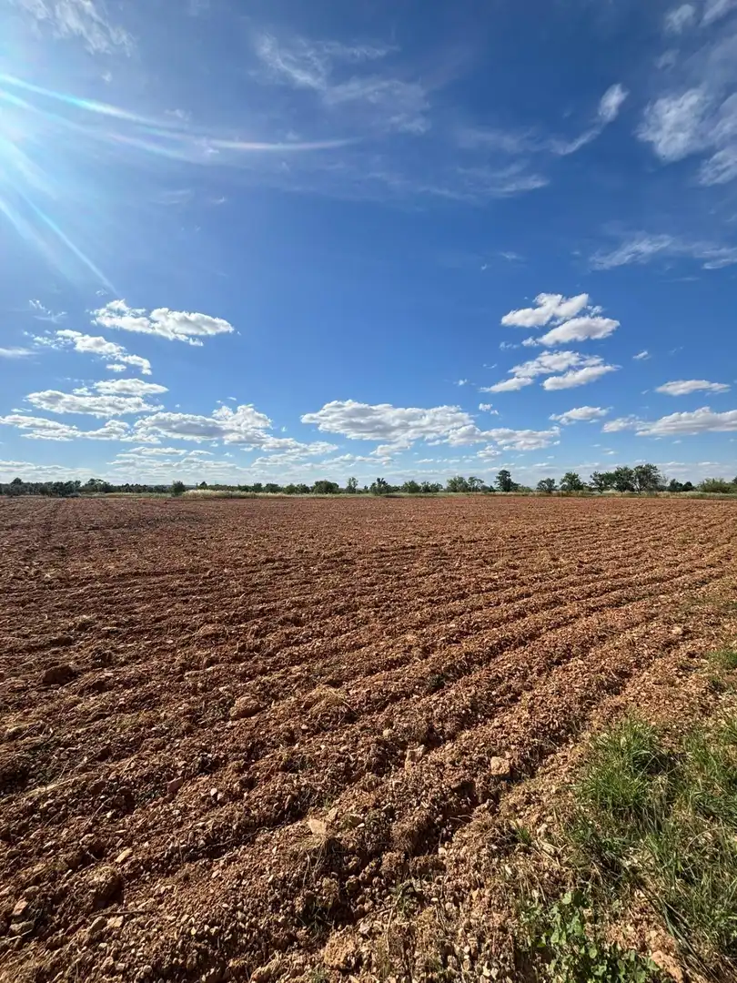Rural land for sale in Valdepeñas, imagen 4