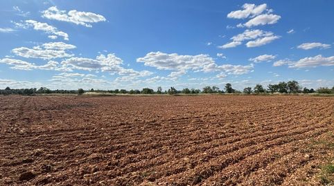 Tu Proyecto a Medida Terreno Estratégico y Listo para Empezar, imatge 4