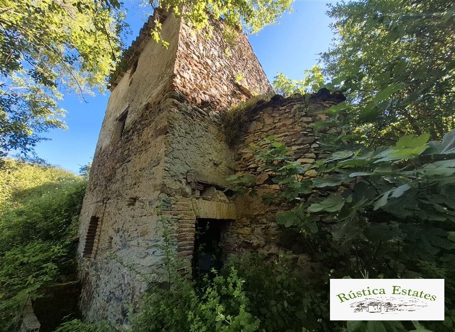Exterior view of Country house for sale in Alpandeire