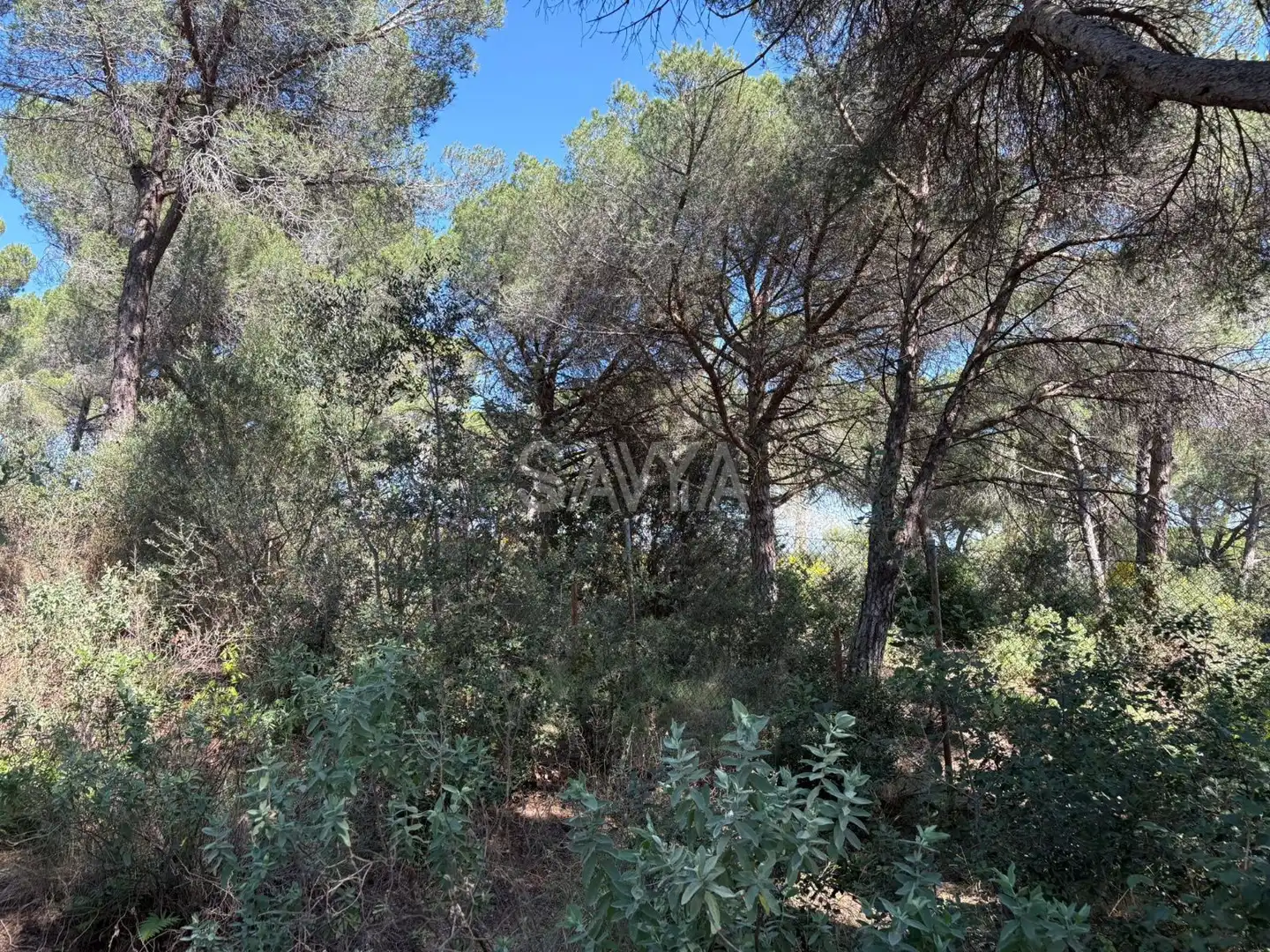 Grundstücke zum Verkauf in Sant Vicenç de Montalt