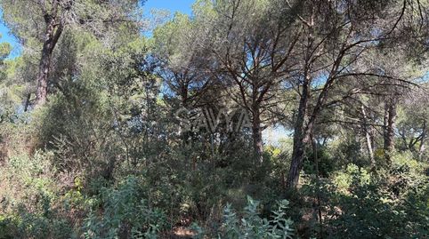 Foto 2 von Grundstücke zum Verkauf in Distrito Montalnou- Milans del Bosc, Montalnou - Milans del Bosc, Sant Vicenç de Montalt