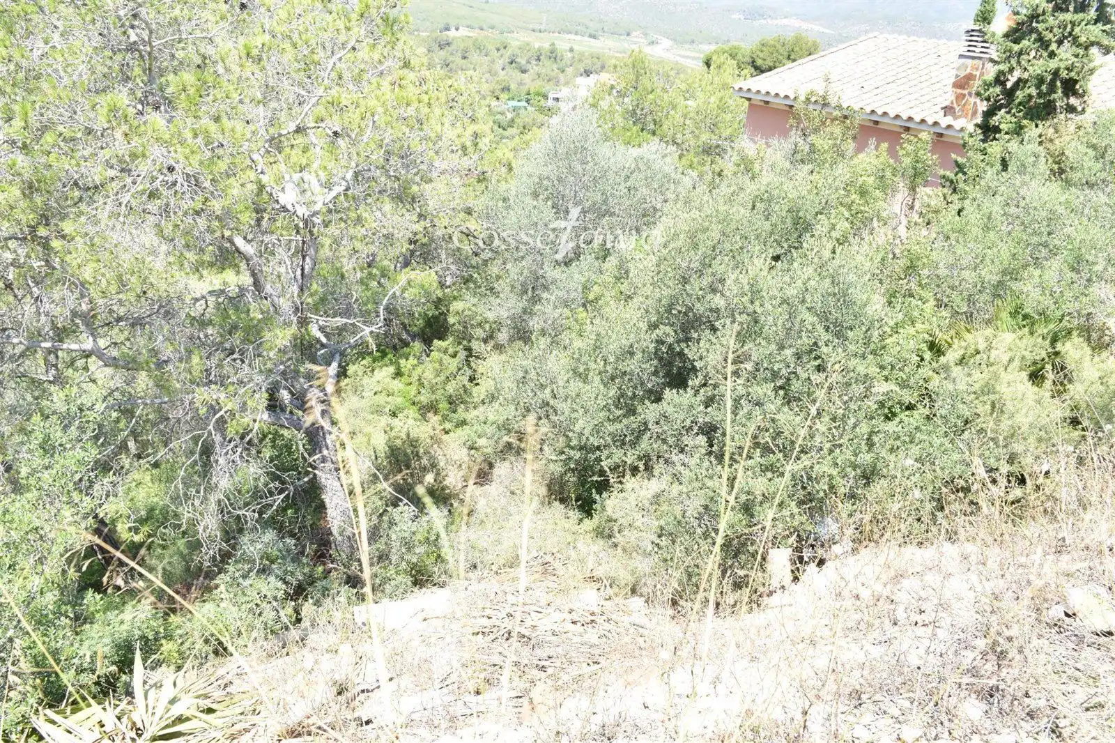 Rural land for sale in TER-UR CAN GORDEI, imagen 2