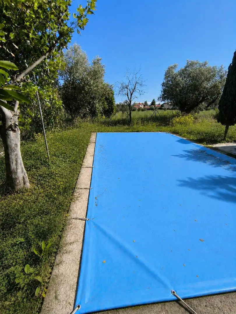 Jardín de Casa o chalet en venta en Torremocha de Jarama con Calefacción, Jardín privado y Trastero