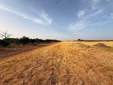 Terreno residenziale in vendita a La Carlota