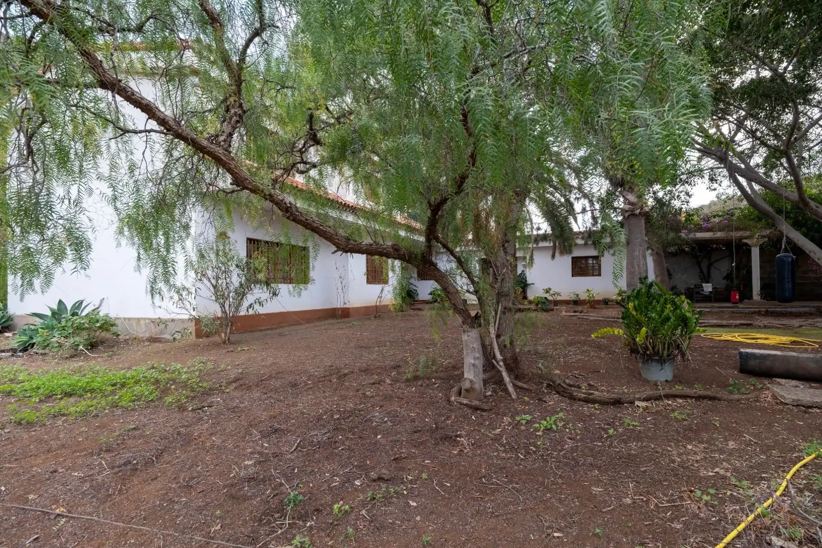 Casa o chalet en venta en Calle FUENTE MORALES, Almatriche