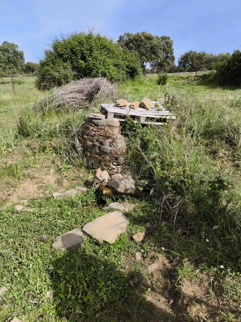 Rural land for sale in Fuente Obejuna, imagen 23